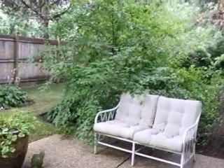 Homes for Sale - 1809 Tanglewood Dr Unit D - Glenview, IL 60