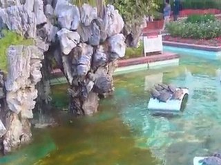 Hd Video Kamera - Test Cekim 2