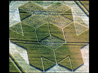 Crop Circle 9 July 2010 Cley Hill Warminster UK