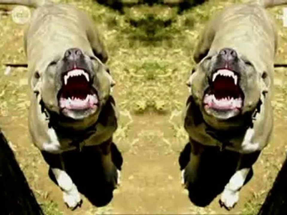 Vestiaires - Episode 7 (RTBF, "Cap Africa")