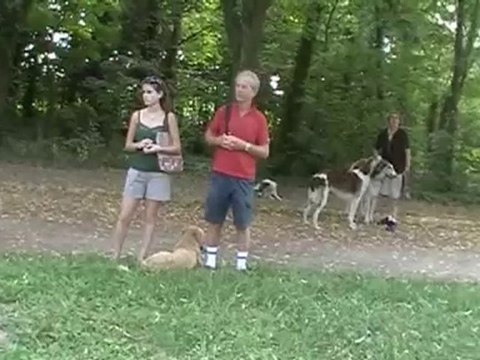 vincennes 10 juillet 2010 v4