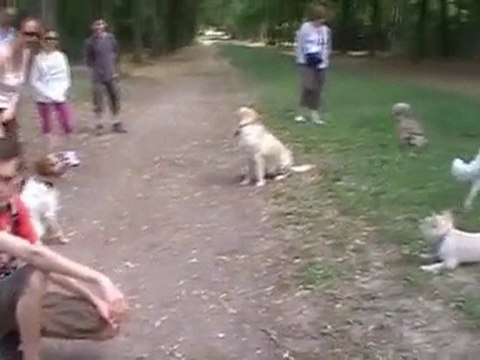 vincennes 10 juillet 2010 v5