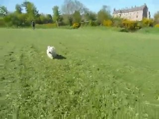 Willow Galope: Discover Her Journey