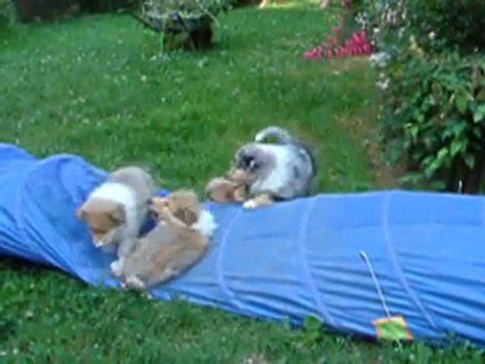 bb de cap esperance à 2 mois