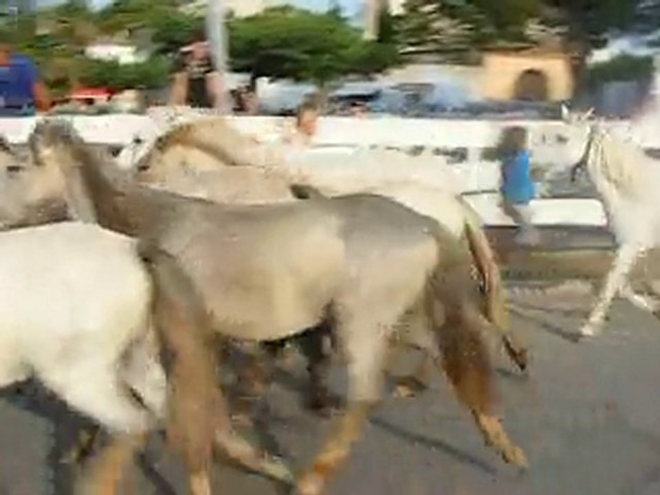Roussataio
