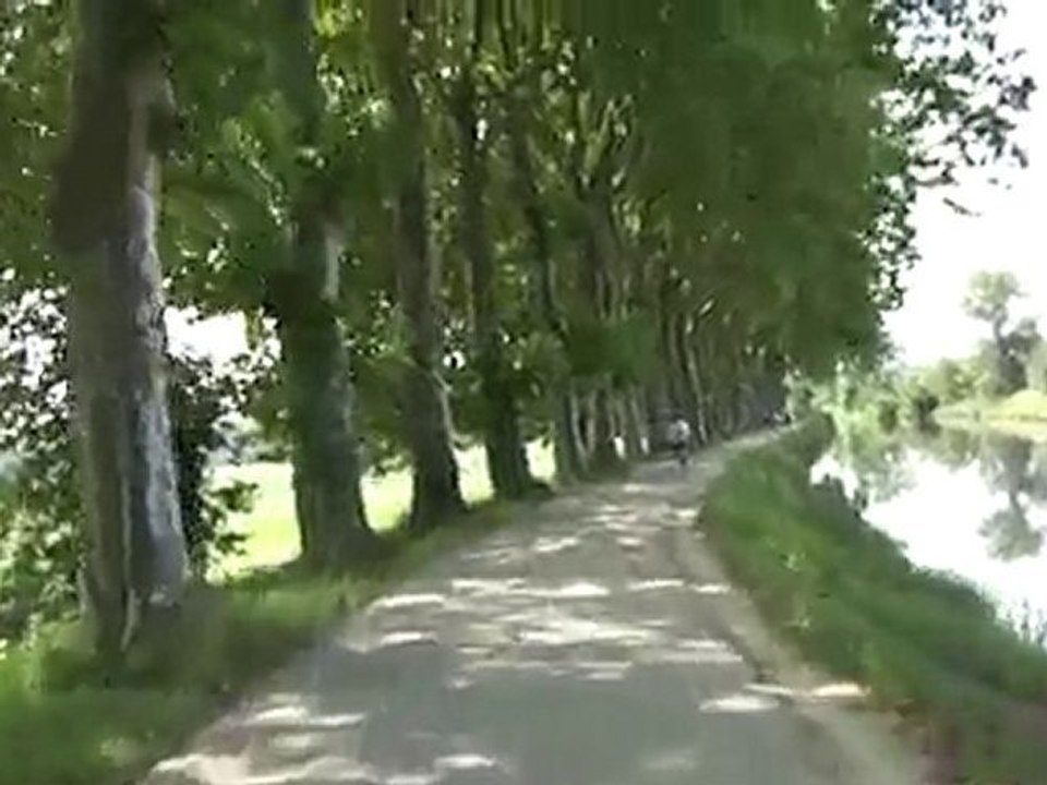 Rencontre sur les berges du canal