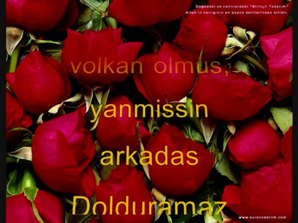 hatipoğlu'nda birlik ve beraberlik.