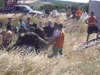 Longue Valliguieres 2010 (2)