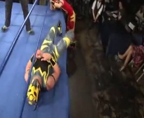 Soldier Ant just break his neck