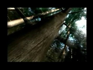 Path of blade masters