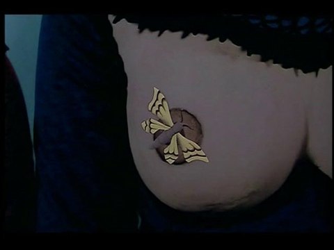 Raoul Servais, l'intégralité de ses courts métrages