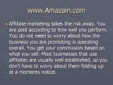 Affiliate Marketing vs Sole Ownership