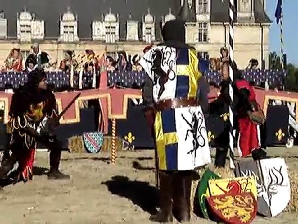 Leonardo ecouen : duel à l'épée