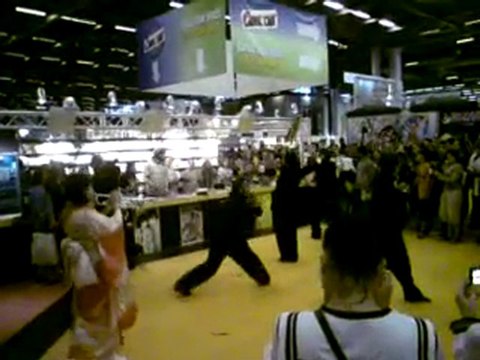 Japan expo 2010 samedi