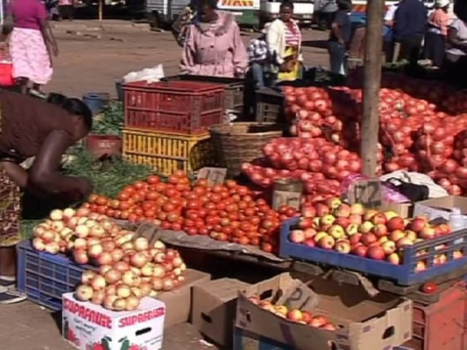 Sex workers become farm workers in Zimbabwe