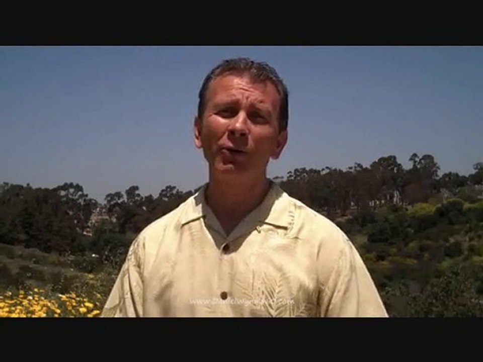 "Main Street Marketing Bonus, Traffic Geyser, Daniel Wynn"