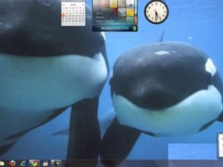 Accessing localhost Web-server on Mac and PC