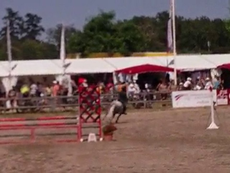 Ors De L'aubier, 2è jour, C2P - Lamotte 2010