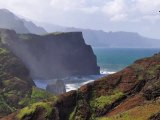 Des fleurs au milieu de l'océan... l'île de Madère