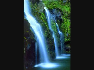 Proof Islam is the True Religion 2_2 by Univeristy Graduate,