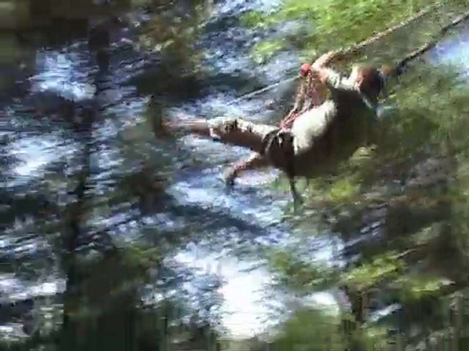 Ets Marenco dans les branches (Aoubré)