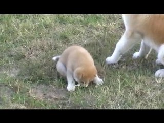 bébés chanel le 11.07.2010