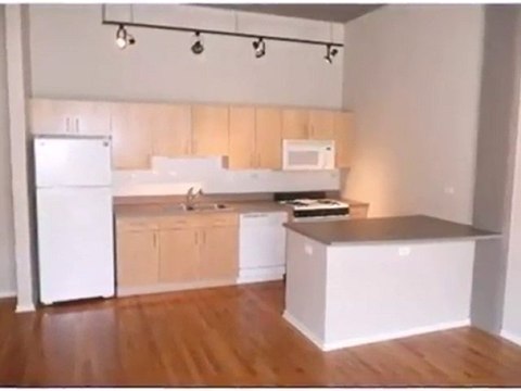 Homes for Sale - 900 N Kingsbury St Apt 1021 - Chicago, IL 6