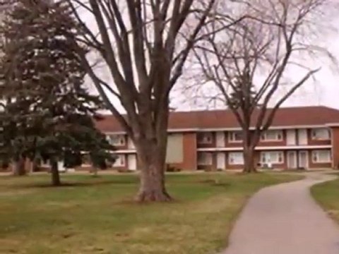 Homes for Sale - 1111 Holiday Ln Apt 2 - Des Plaines, IL 600