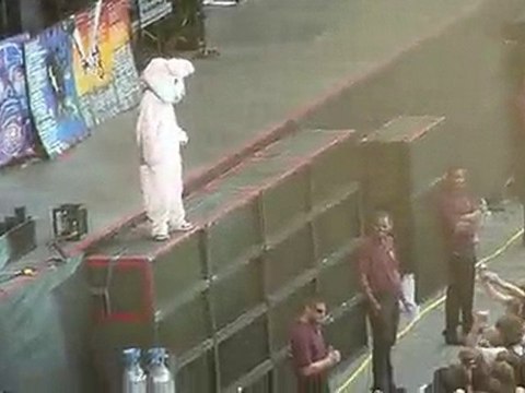 Green Day @ Parc des Princes - Pink Bunny - YMCA