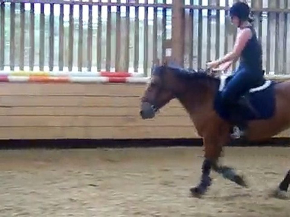 Saut d'obstacle