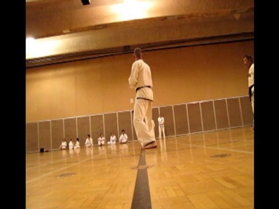 Black Belt Exam  June 2010 Marc Leduc Basic Technics (2)