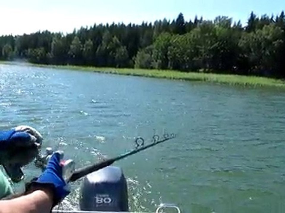 SUDAK AVIM 10.7.2010 001