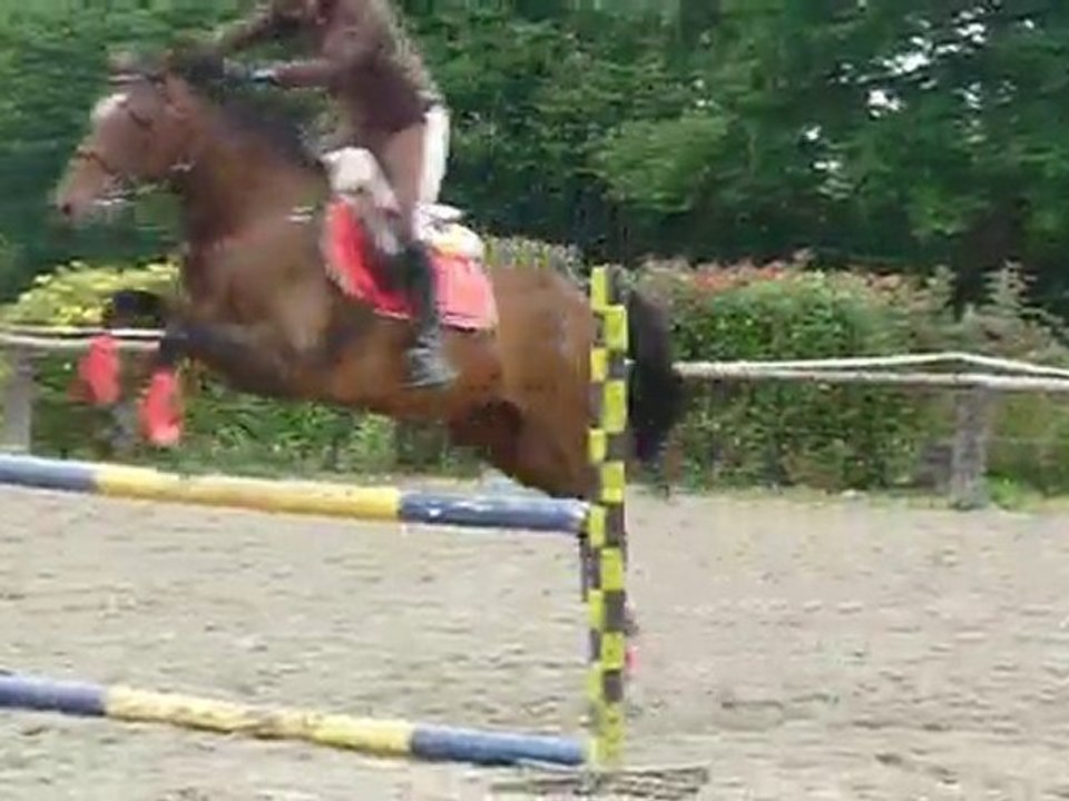 Parcours 2 Stage obstacle du o2 juillet 1o `