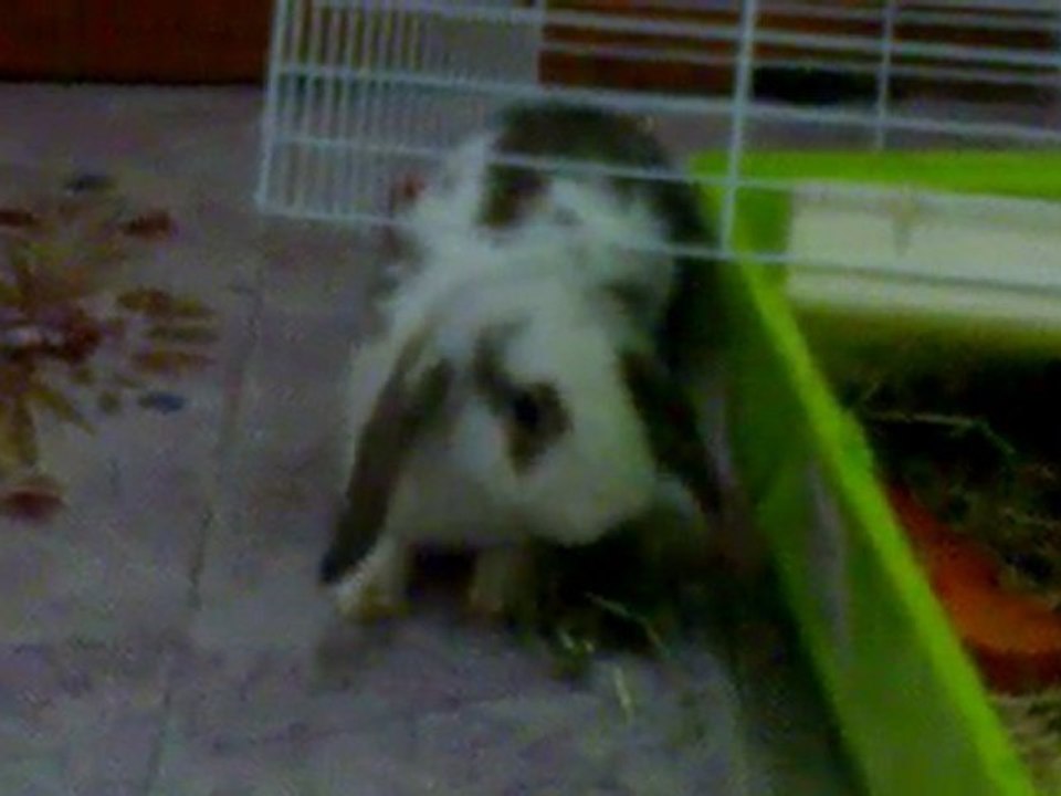 Che buona la pappa!