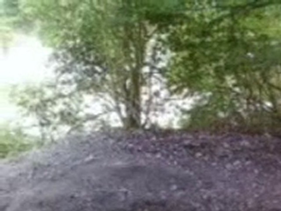 Sortie du 11 juillet ouais ouais