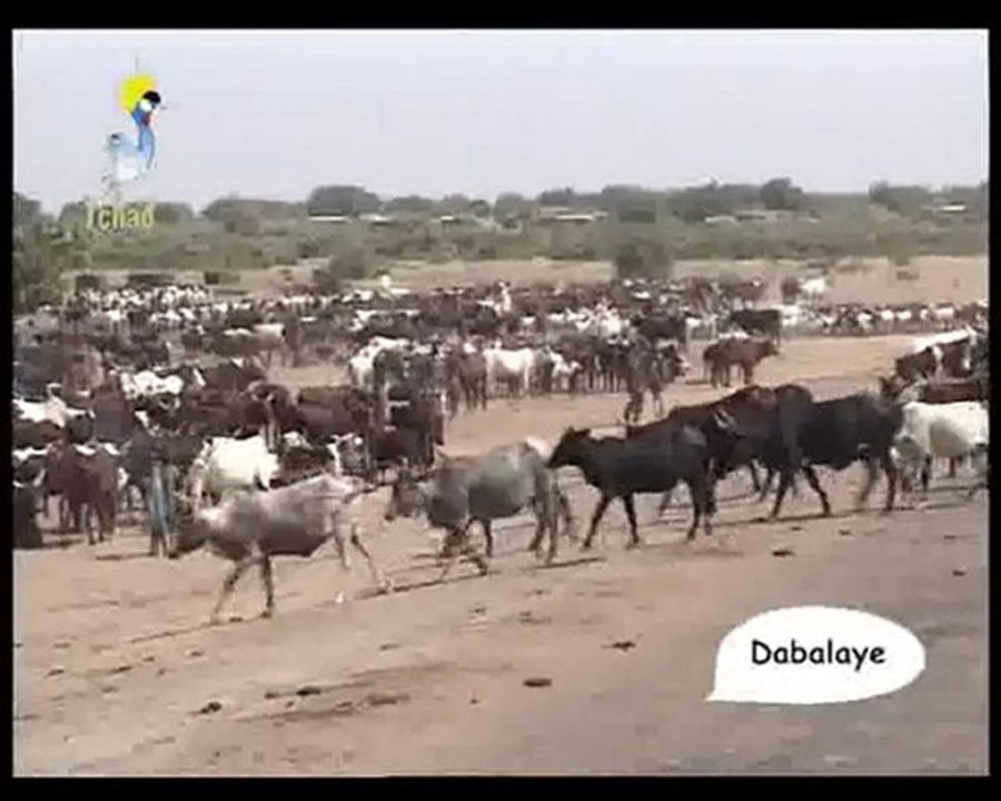 DABALAYE DU  07 DU 11/07/2010 PAR TCHADONLINE.TV