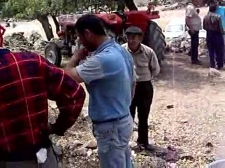 FASILLAR KÖYÜ 2007 ŞENLİĞİ 1