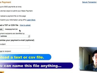 How To Pay Your Virtual Staff Using Paypal Mass Payment