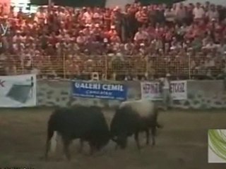 Kafkasör festivali-2010  Başaltı Finali