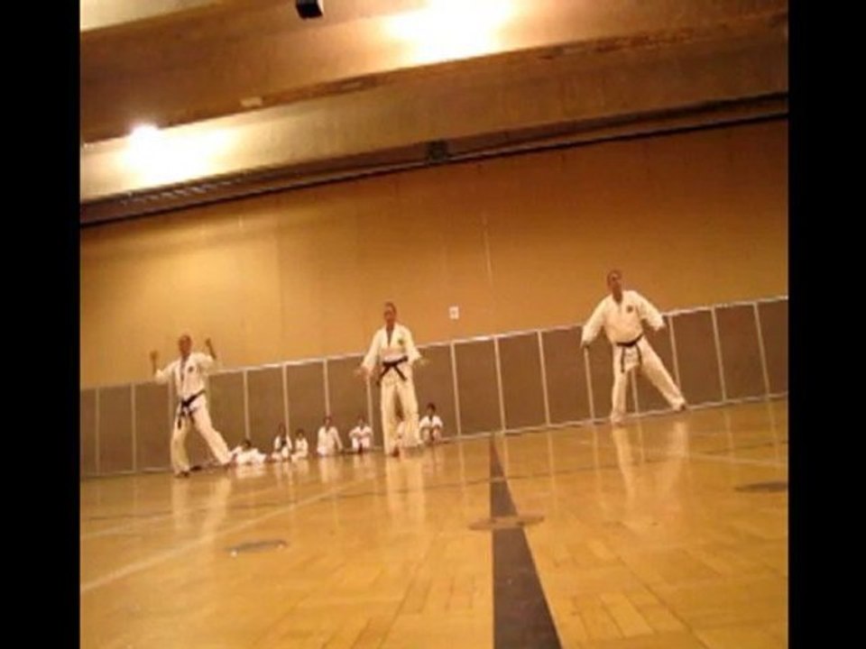 Black Belt Exam  June 2010 Katas (1)