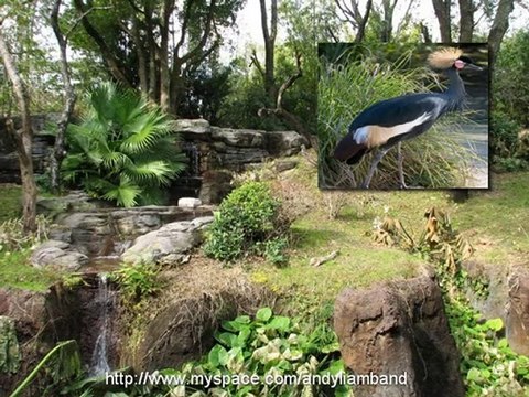 [Free Songs Online] Free songs online- Andy Liam Band