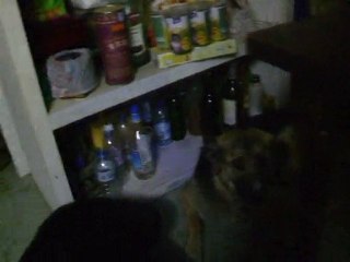 Réunion de famille à 5 semaines