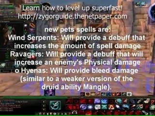 Hunter Changes in Cataclysm - World of warcraft_02