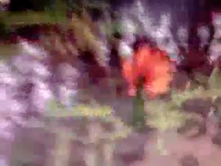 des perso qui bouge sur place