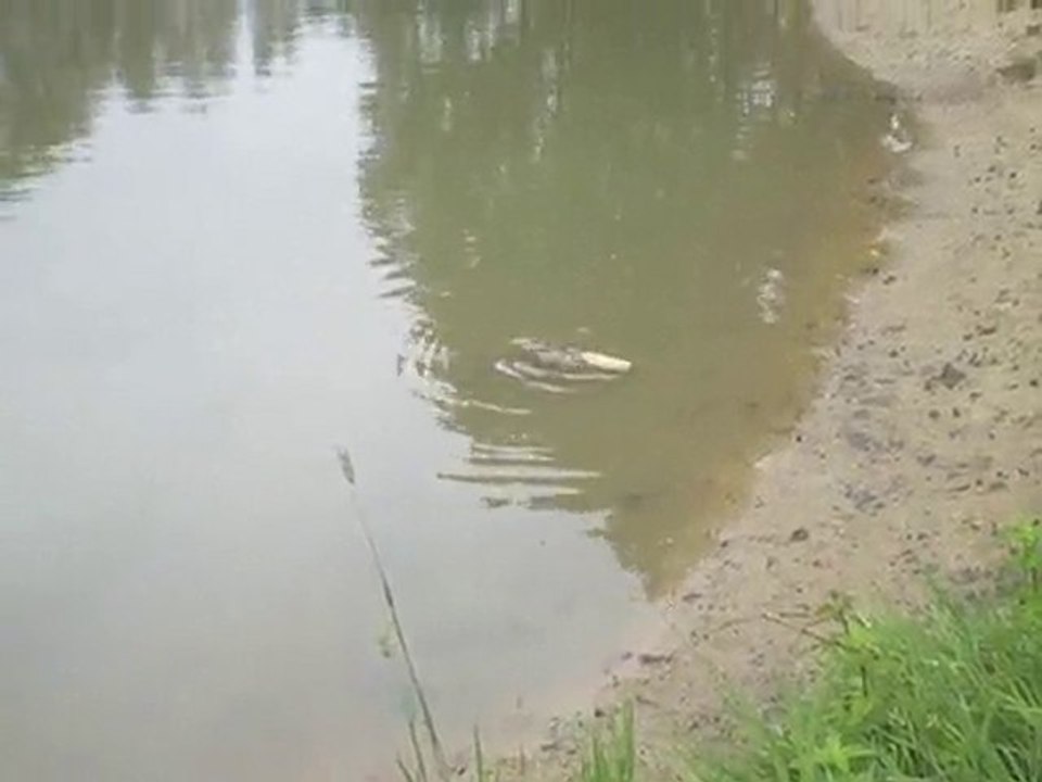 IMGP2857