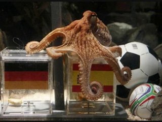 PAul le poulpe- La Chanson officielle