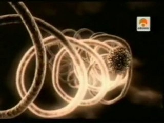 Epigenetica: Genes y ambiente