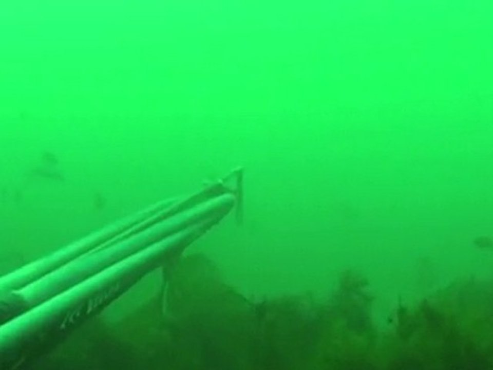 /Users/Cap/Chasse sous marine juin 2010 RI fullhd