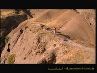 La secte des assassins - 3sur4