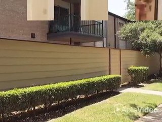 Park Forest Apartments in Dallas, TX - ForRent.com